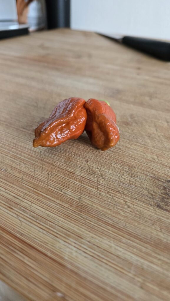 Double fruit from a single flower