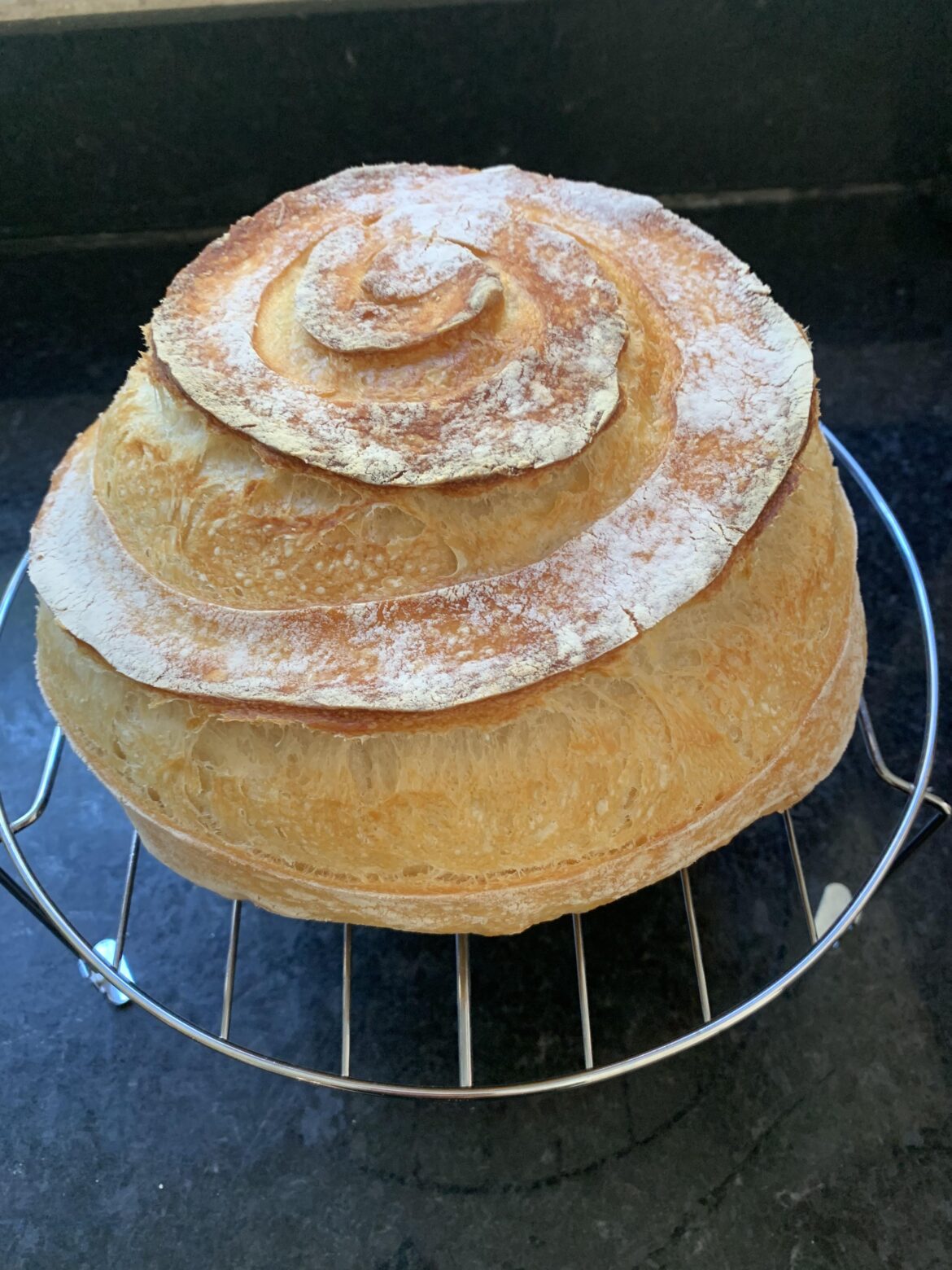 Exploring shapes 🌀