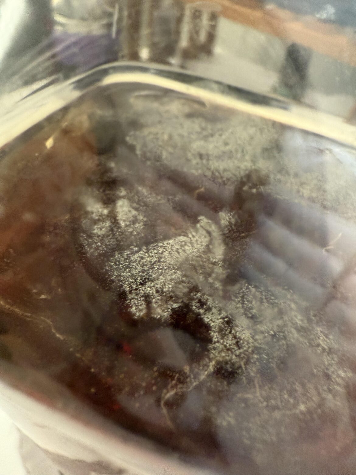 Mold on Hazlenut Syrup?