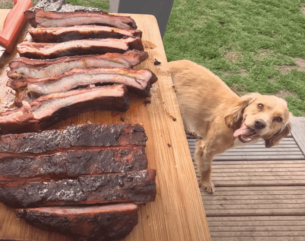Cooking Ribs with my Dog :D