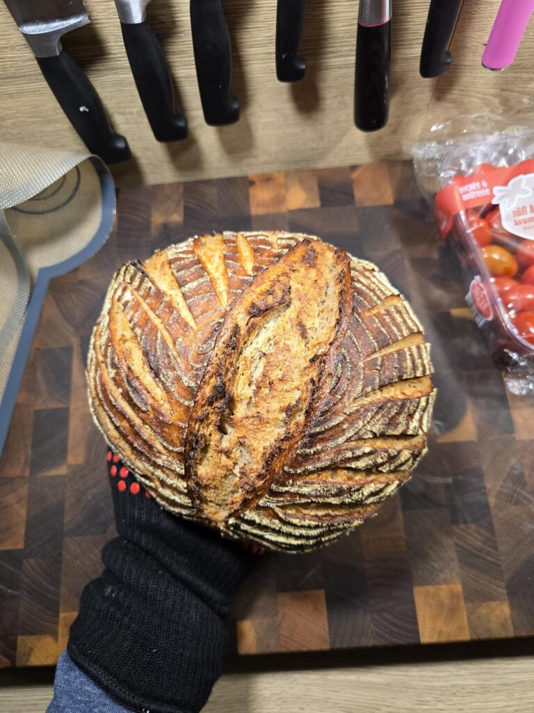 Meet Sauron - My new Sourdough (1 week old)