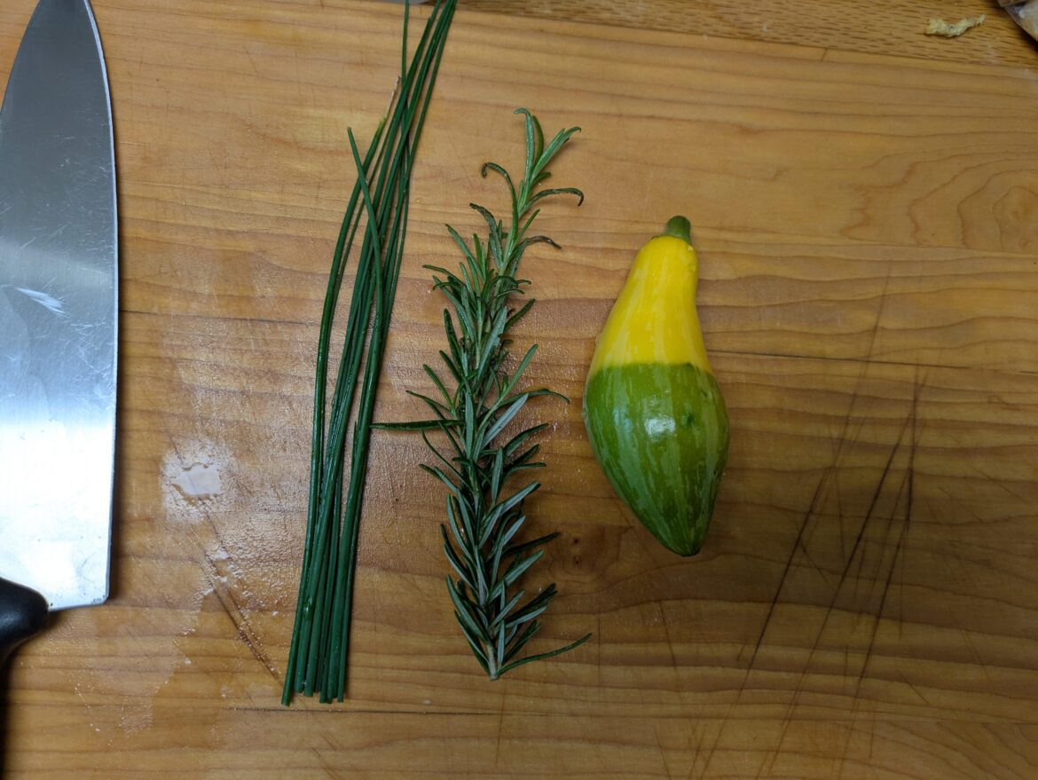 Behold the fruits of my six weeks of gardening labor