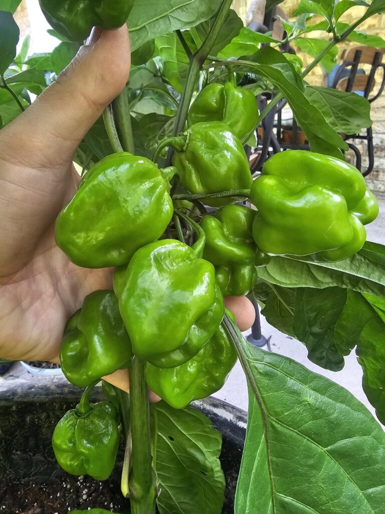 Finally turning, so gorgeous!