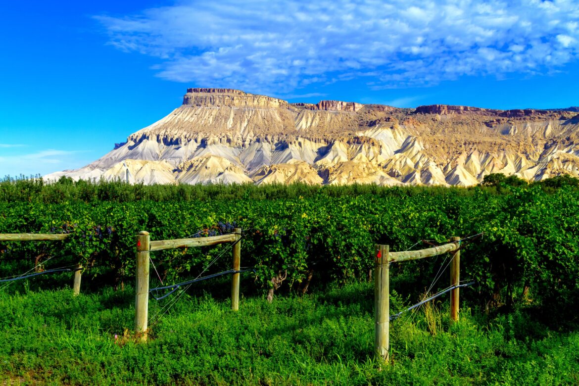 This Affordable Napa Lookalike Has An Epic Wine Scene And Outdoorsy Vibes