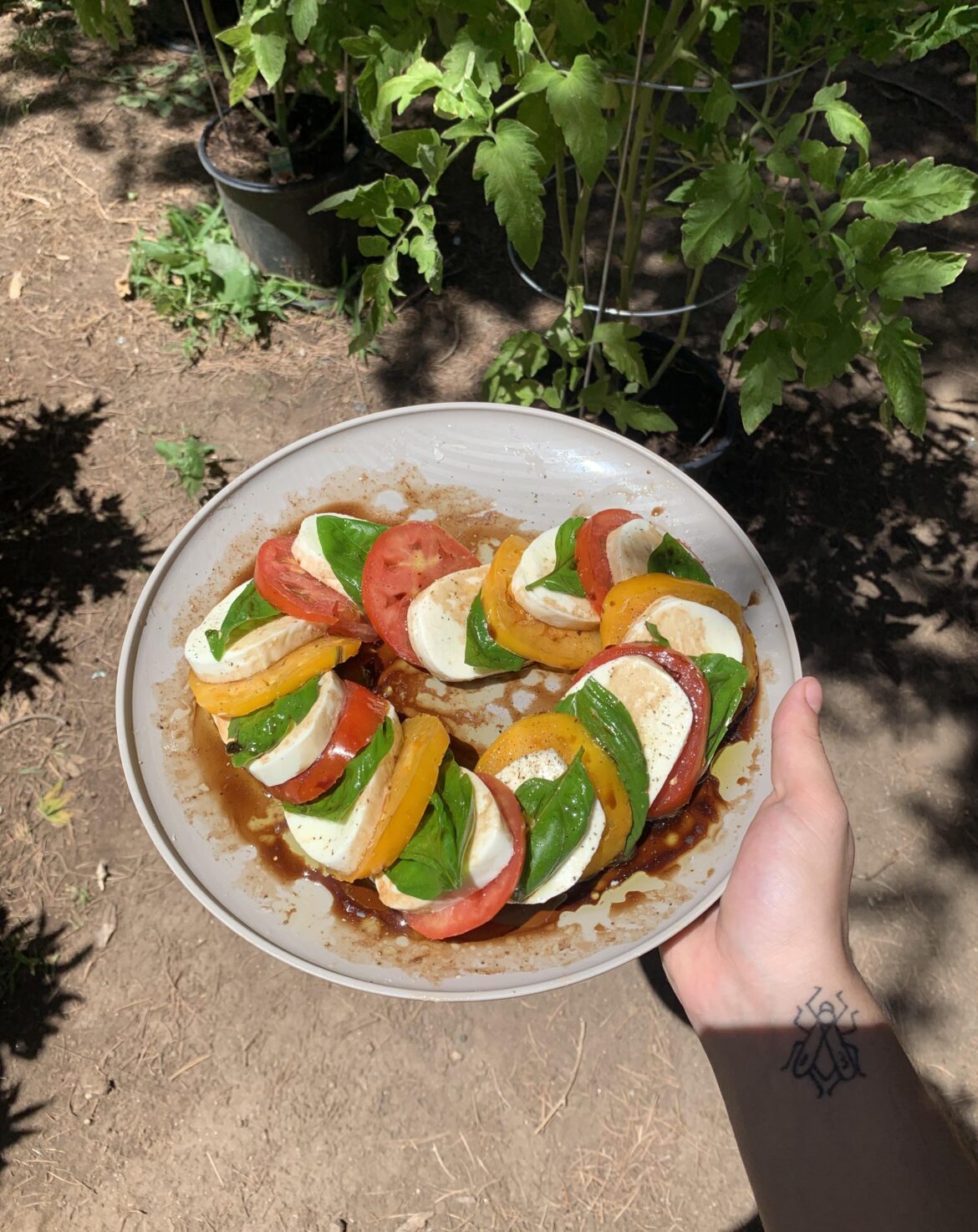 My first caprese salad with homegrown tomatoes!
