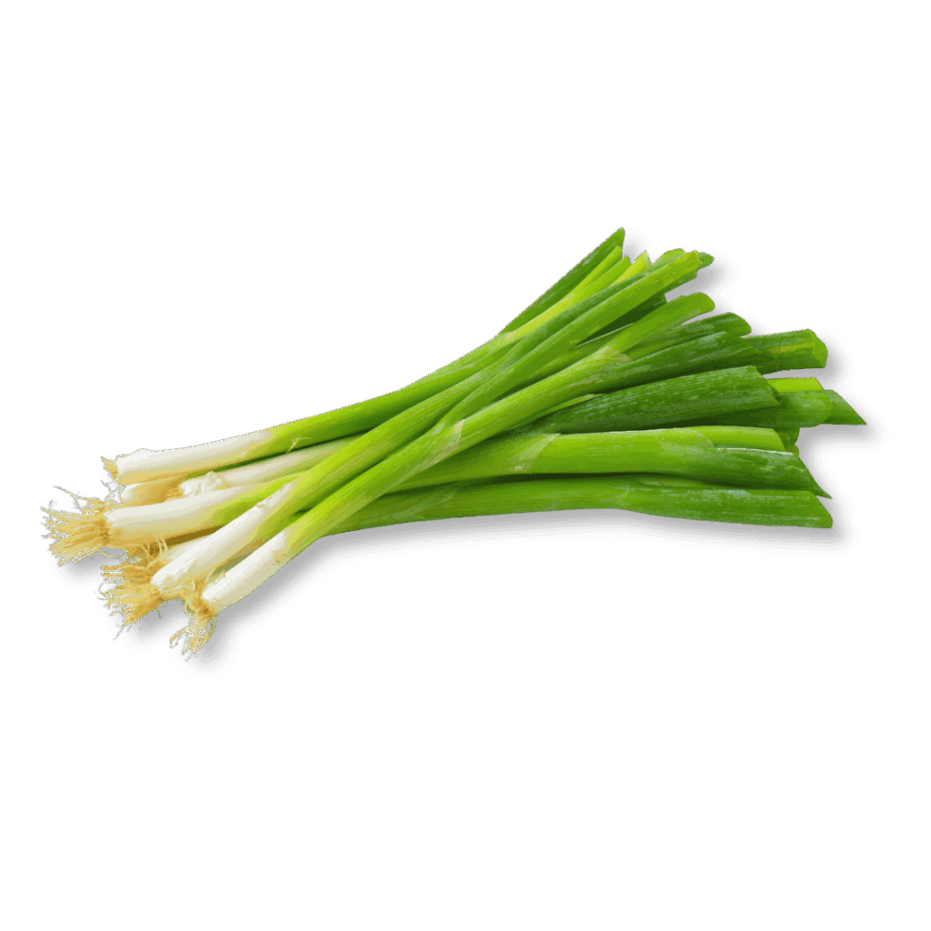 Is a green onion truly an onion?