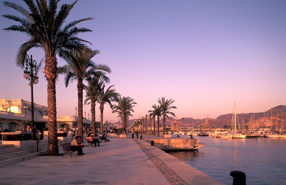 Cartagena harbor at dusk, palm trees lining a paved walkway.