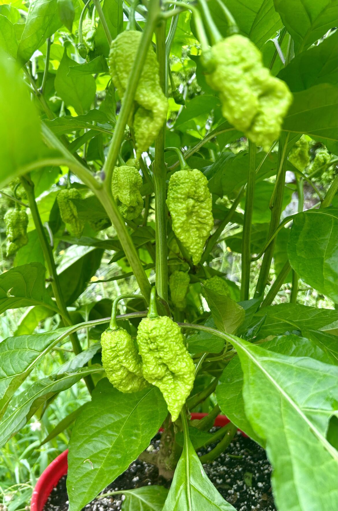 Crazy to think that they’re still babies!!!