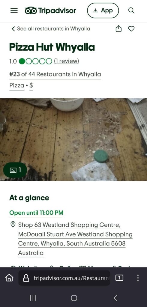 This Pizza Hut has one review. From 2022. The customer vomited and attached a photo.