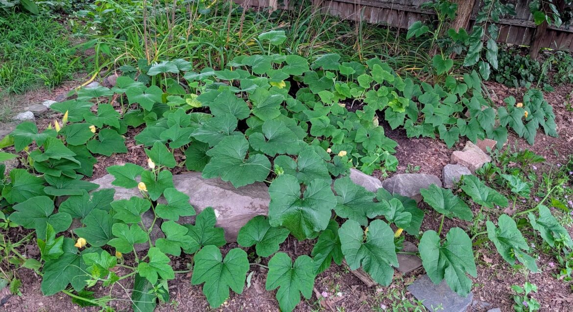 It's like a d&d tournament over here... 500 males and not a female in sight