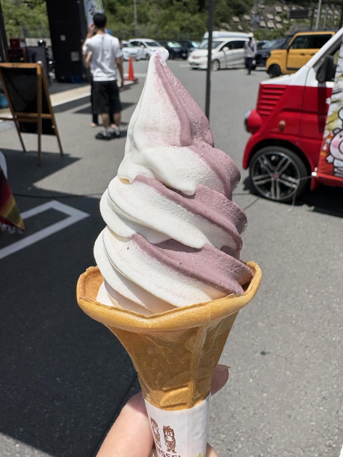 Blueberry ice cream in gunma