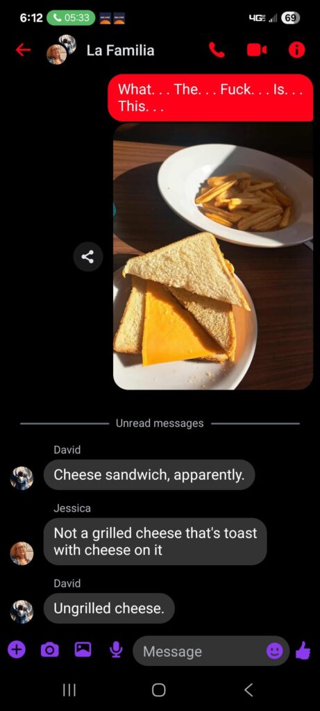 I'm a Trucker who always orders Grilled Cheese, this is what Denny's (Wythville VA) gave me. (And what my son called it).