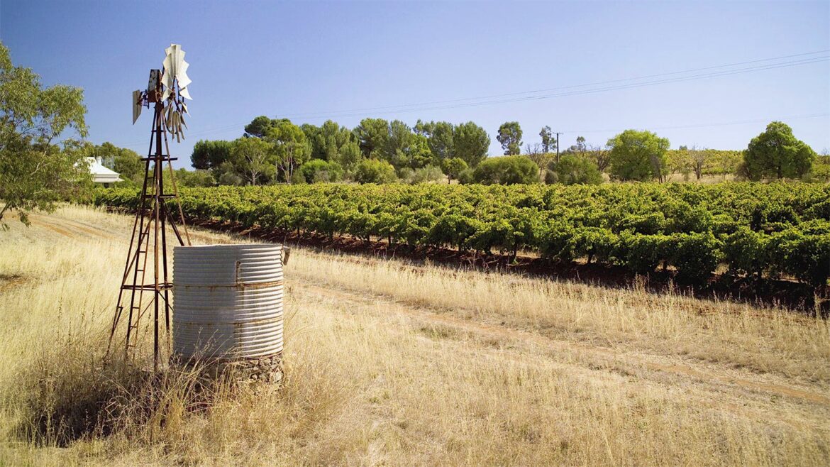 8 Australian Rhône-Style Reds Up to 93 Points 8 Australian Rhône-Style Reds Up to 93 Points