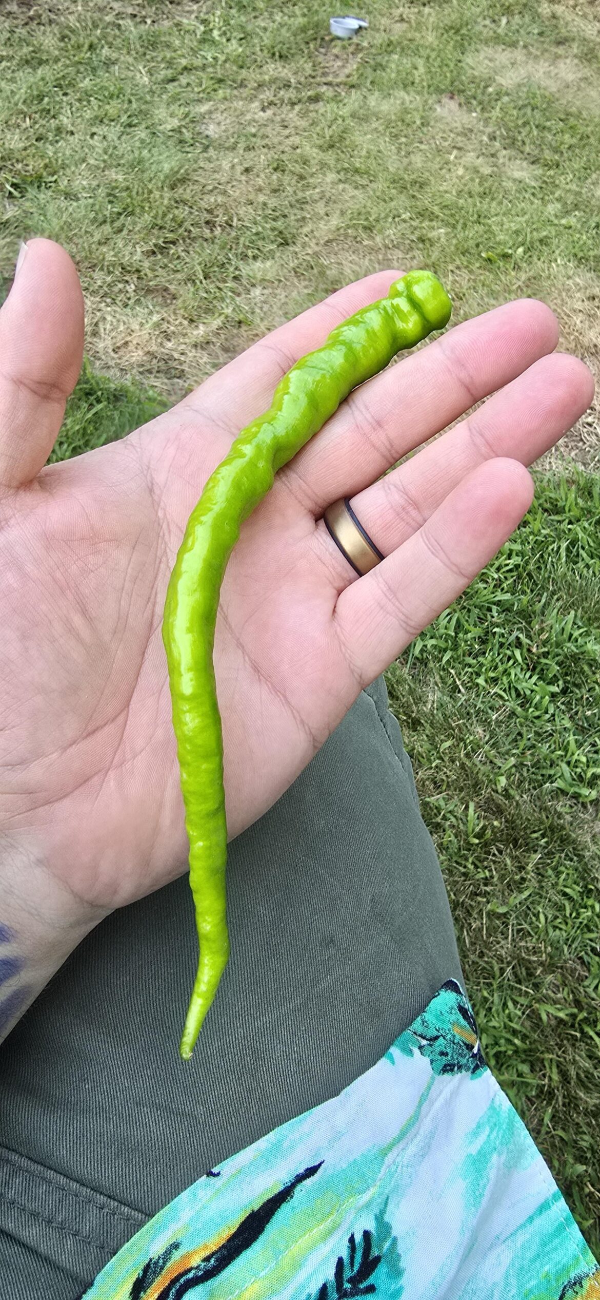 Was told Anaheim but not sure?