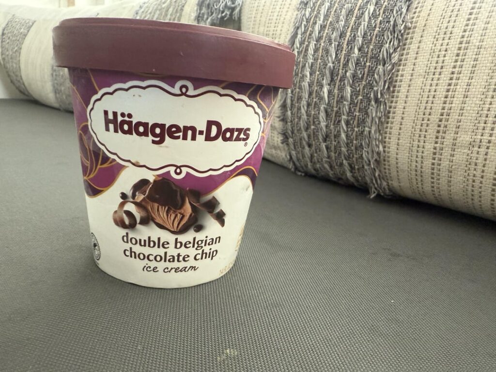 Haagen Dazs Double Belgian Chocolate Chip