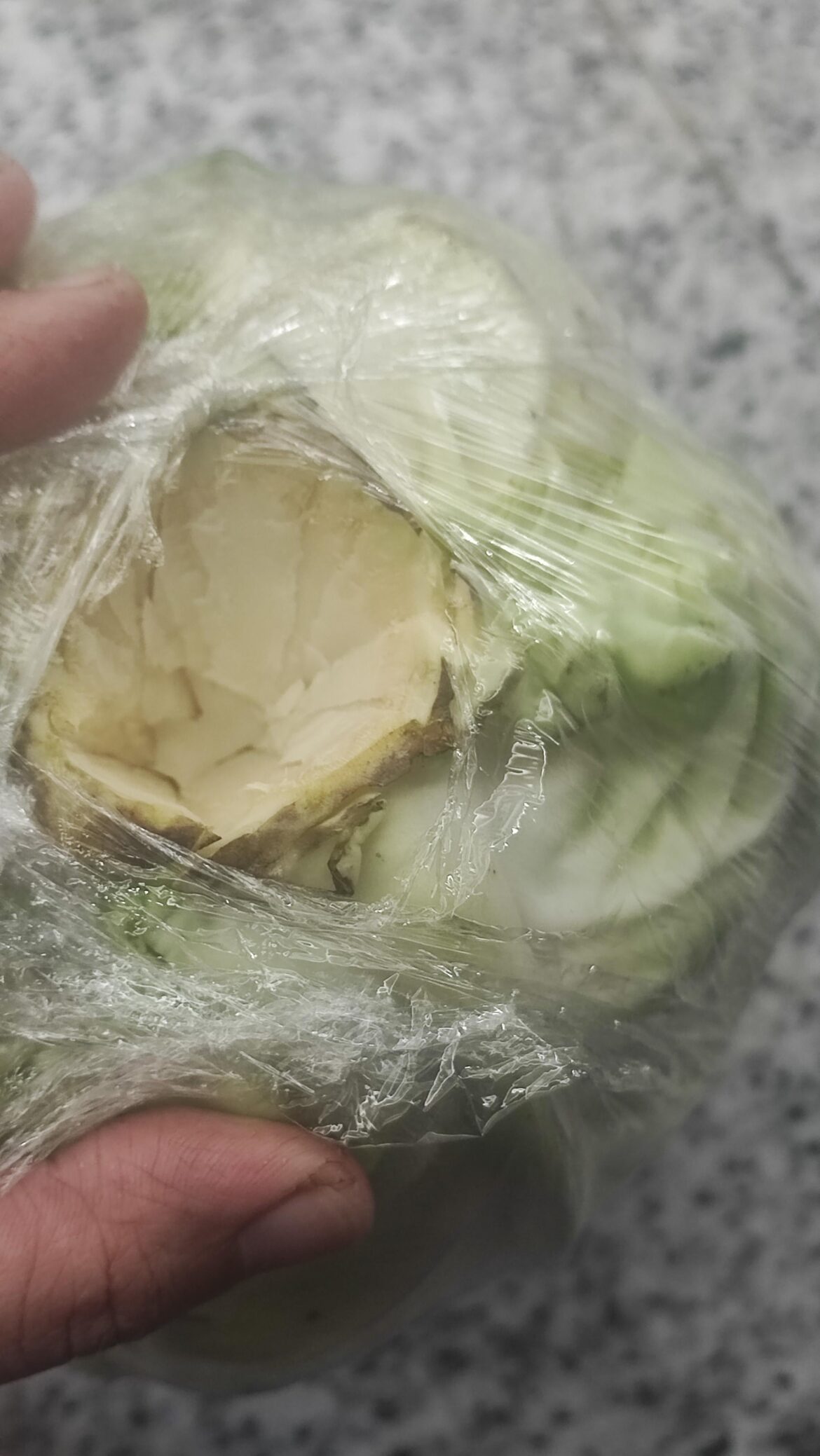 Extending shelf life of cabbage