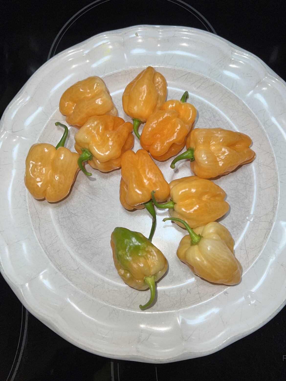 Are these good or are they just too far gone?