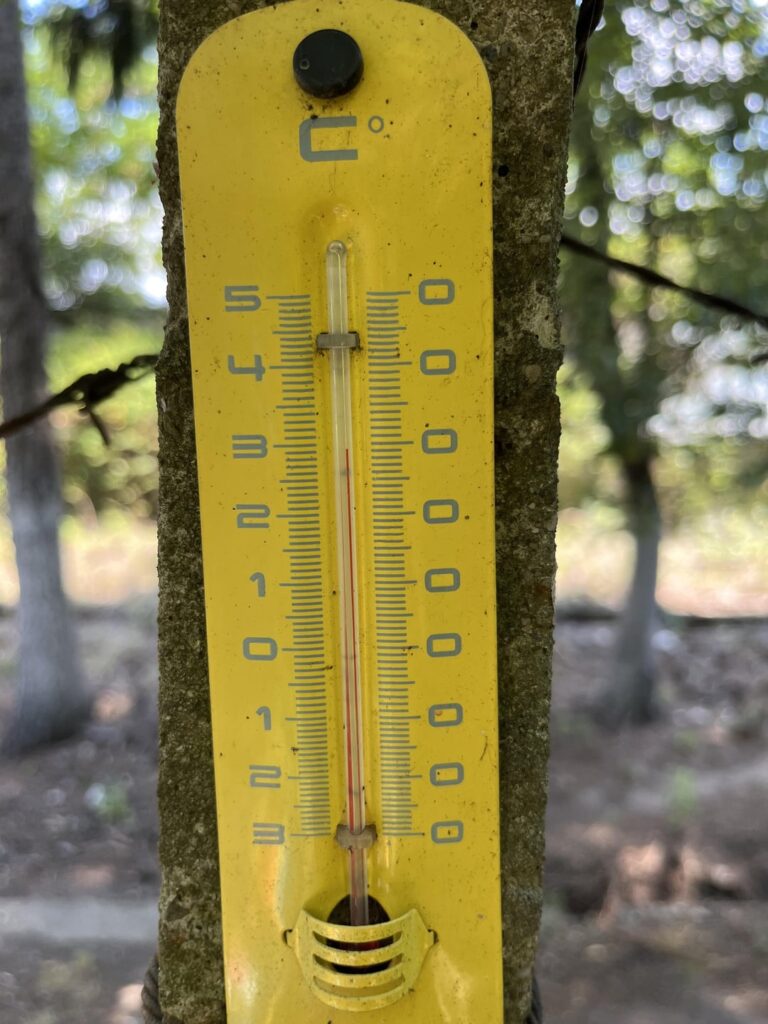 Hot?… so what?… it’s time to grill!