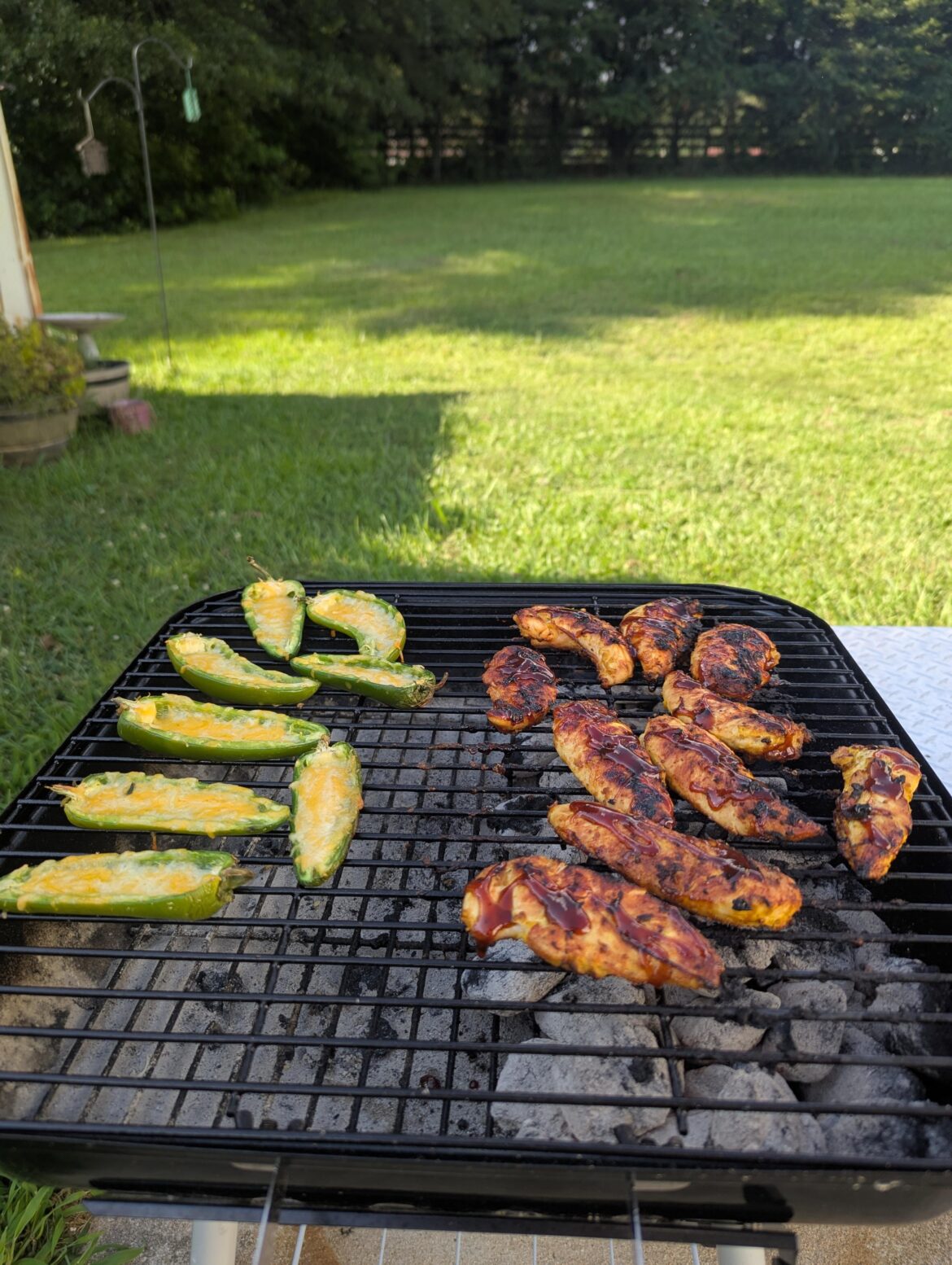 $20 Walmart grill has been putting in work! Newbie but been addicted to the flame.