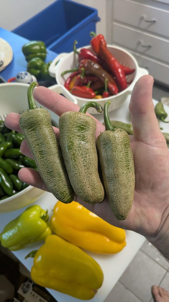 Farmers Market Jalapenos