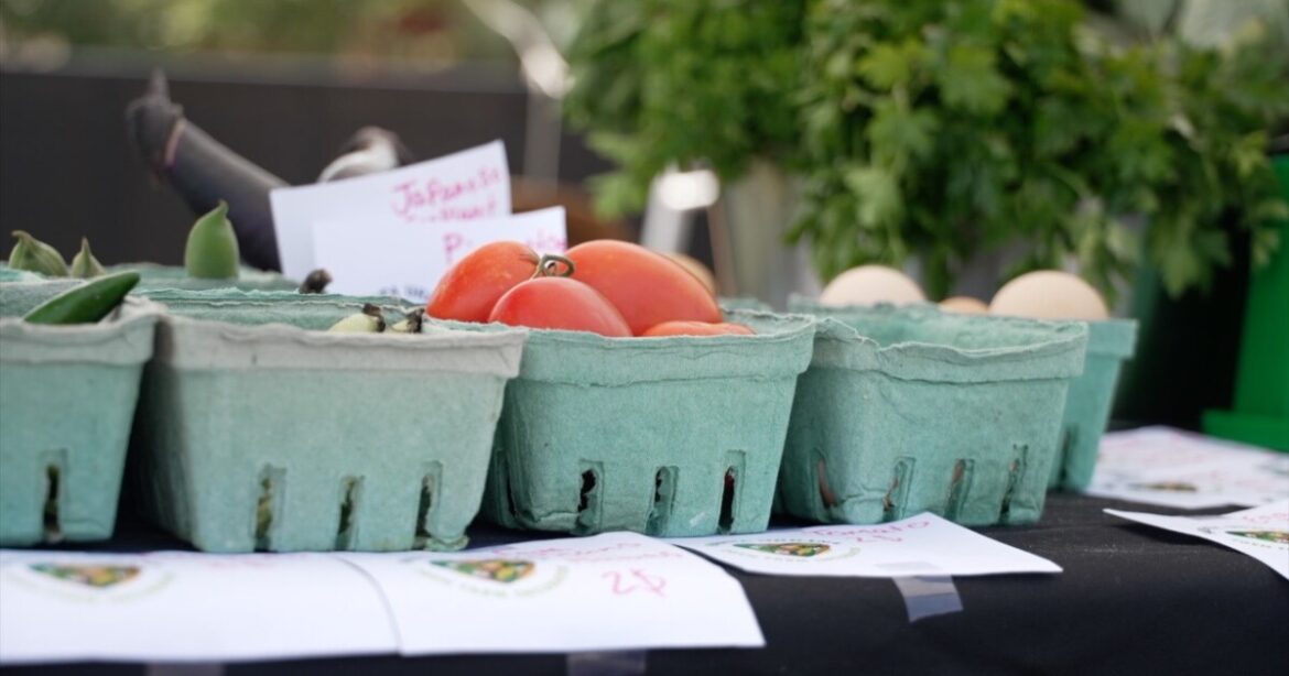 Farmers market brings fresh produce to a Denver food desert