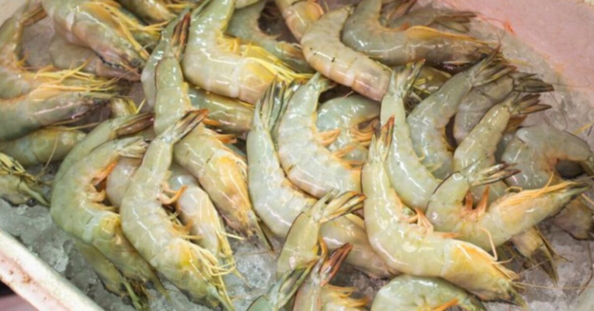 Angie's Seafood offering seafood, American, Italian dishes through takeout and delivery