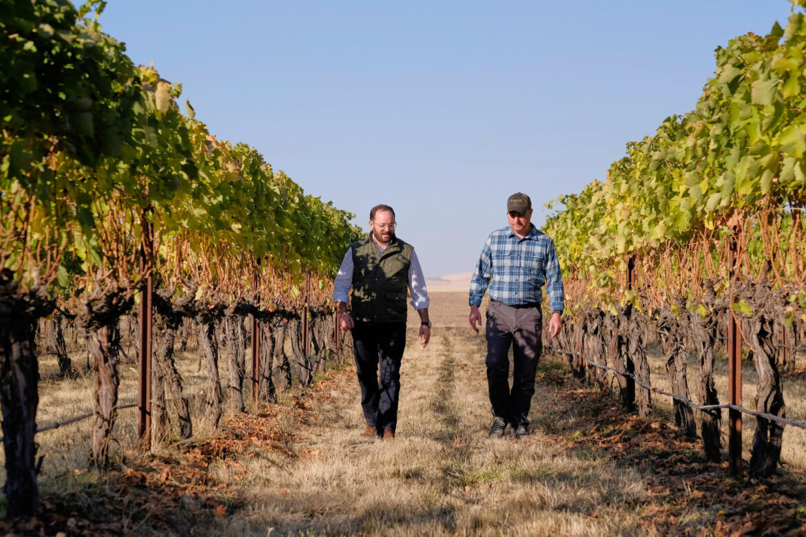 Pacific Northwest wine M&A advisory Metis expands to California
