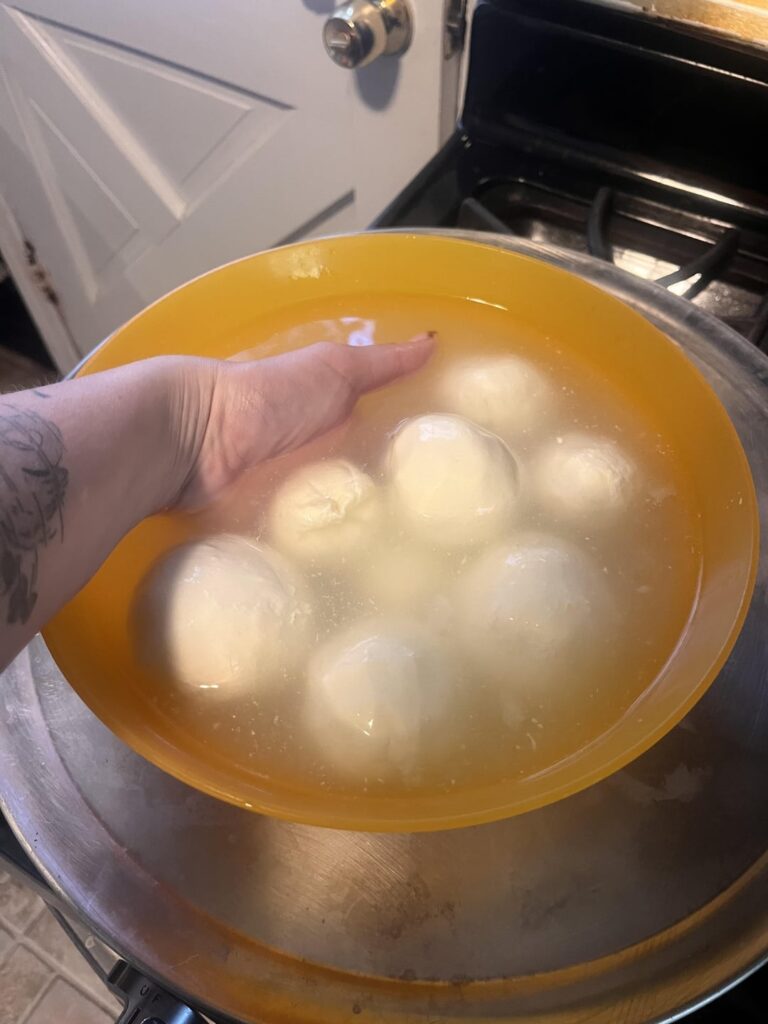 Homemade fresh mozzarella