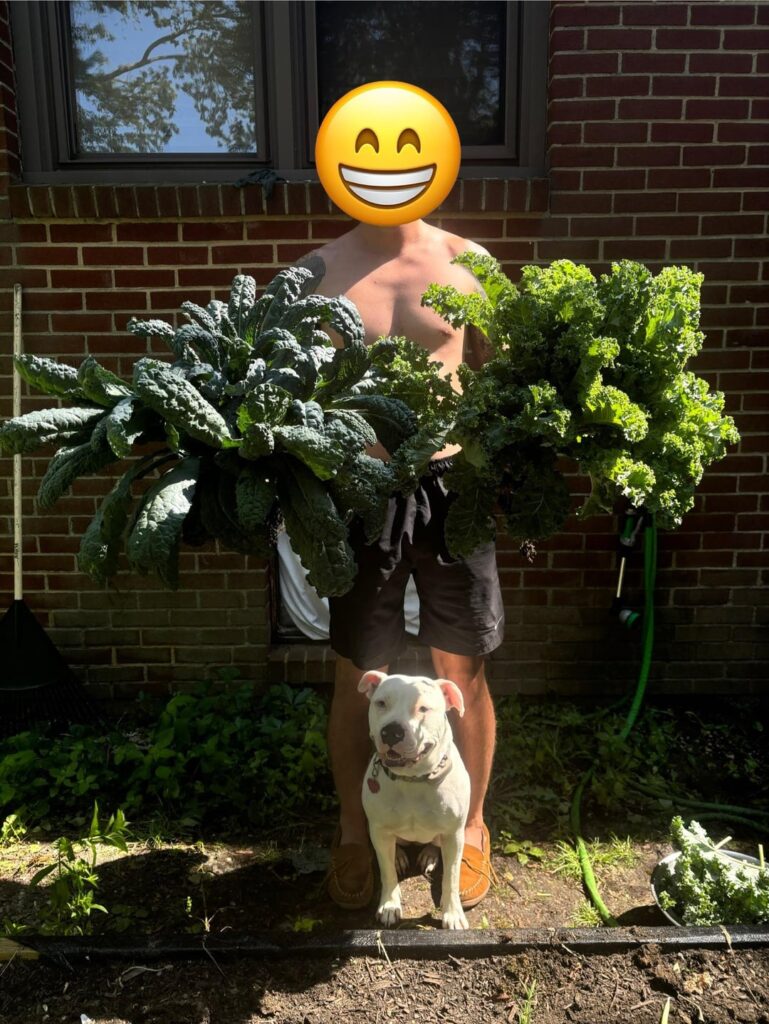 Two of our most recent harvests!