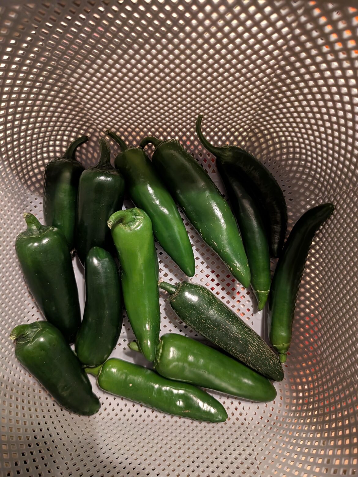 1st Real Pull of the Season