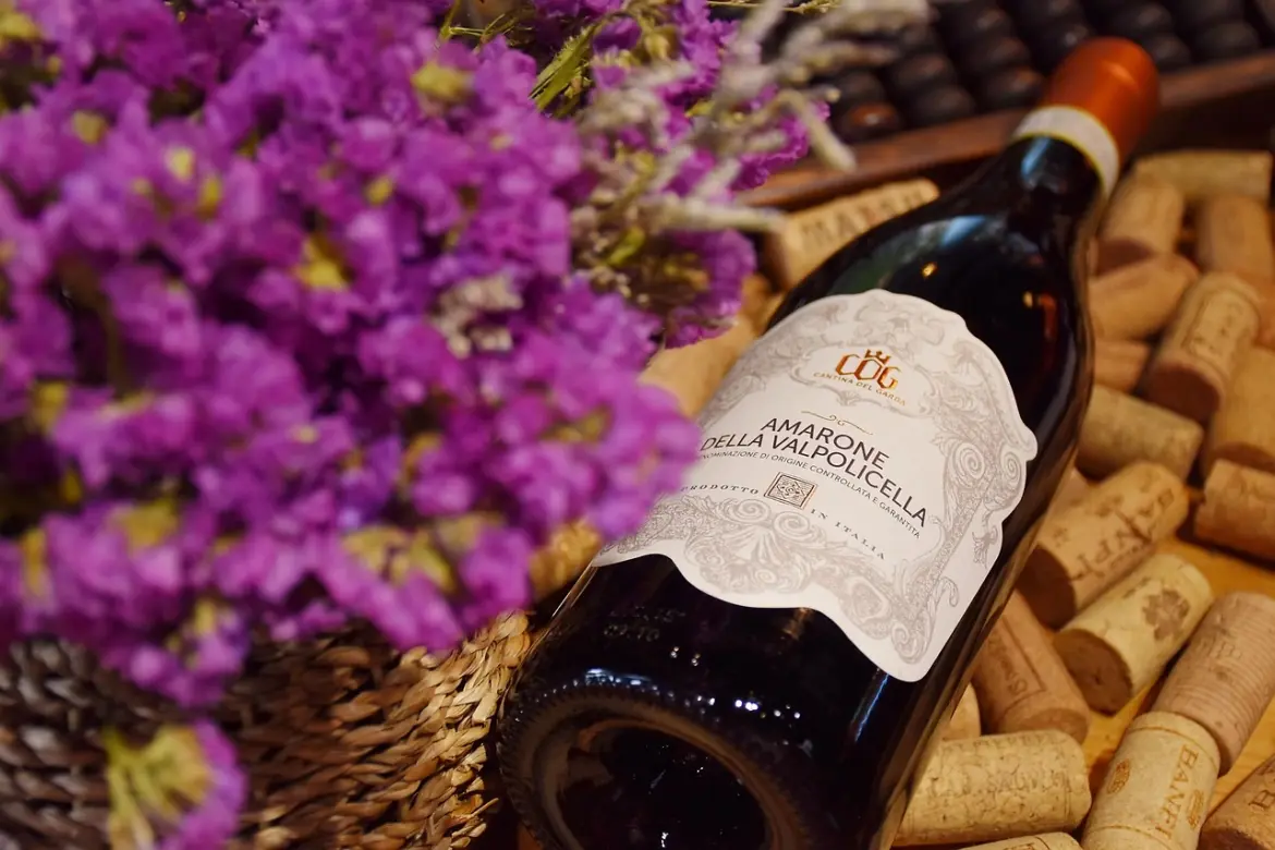 Economic Challenges Loom for Italian Wine Producers After U.S.-EU Trade Deal Exclusion - News and Statistics