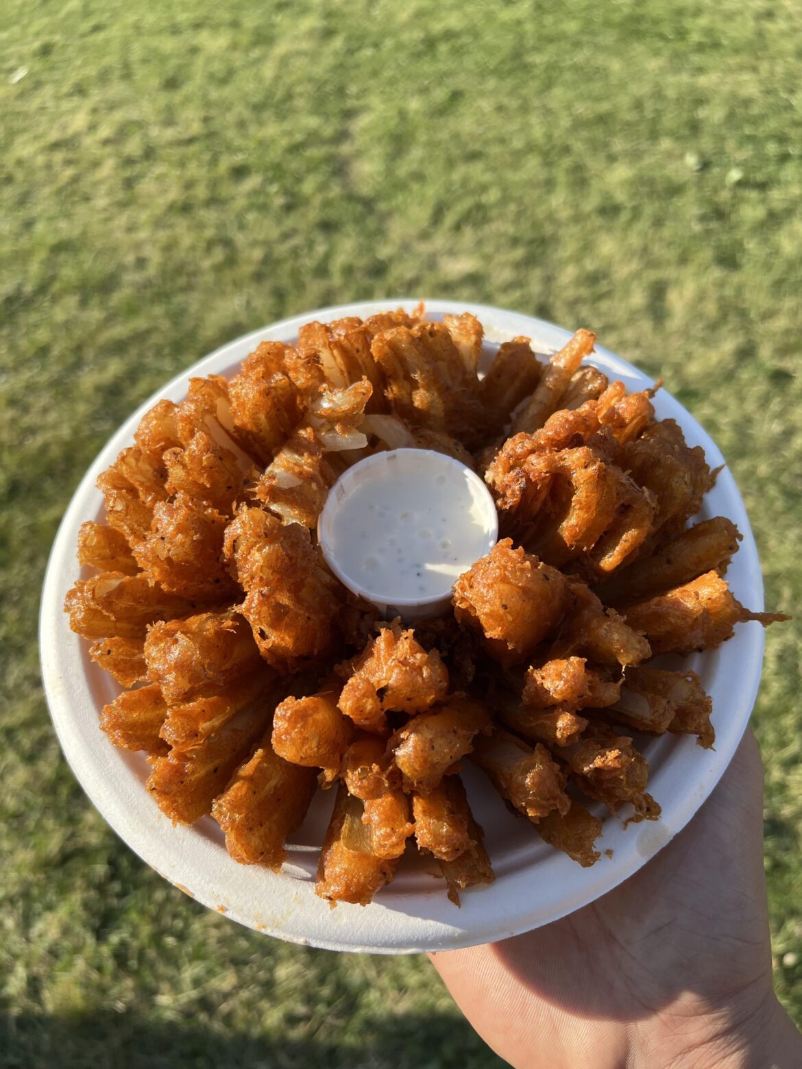 Blooming onion 🧅🧅🧅