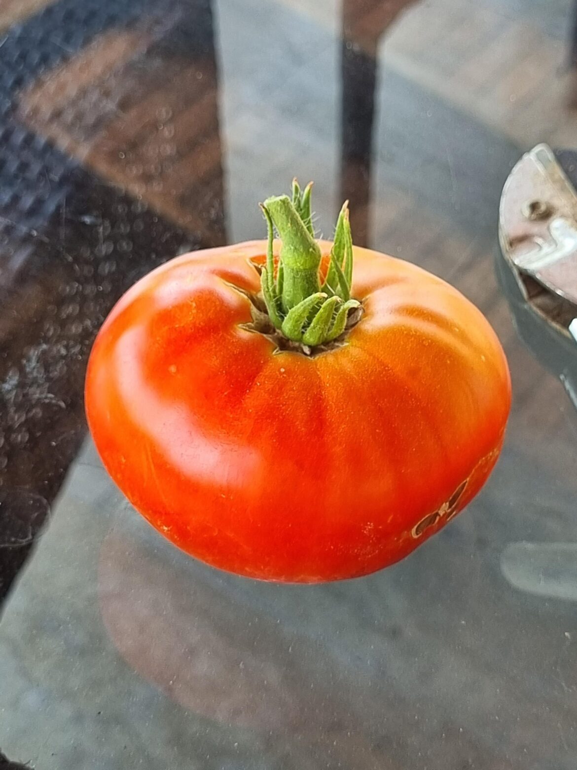 One of my first ever tomatoes!