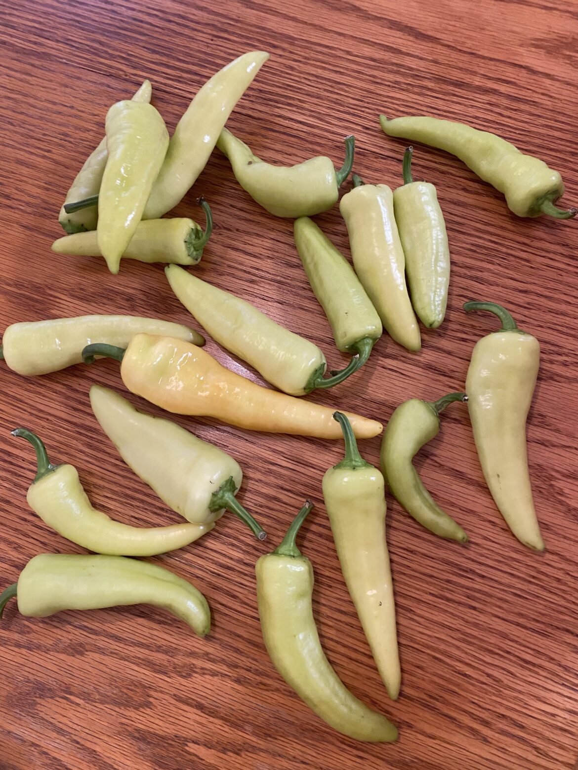 What are these? What are these?