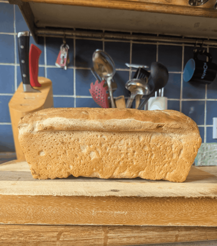 My first sandwich loaf