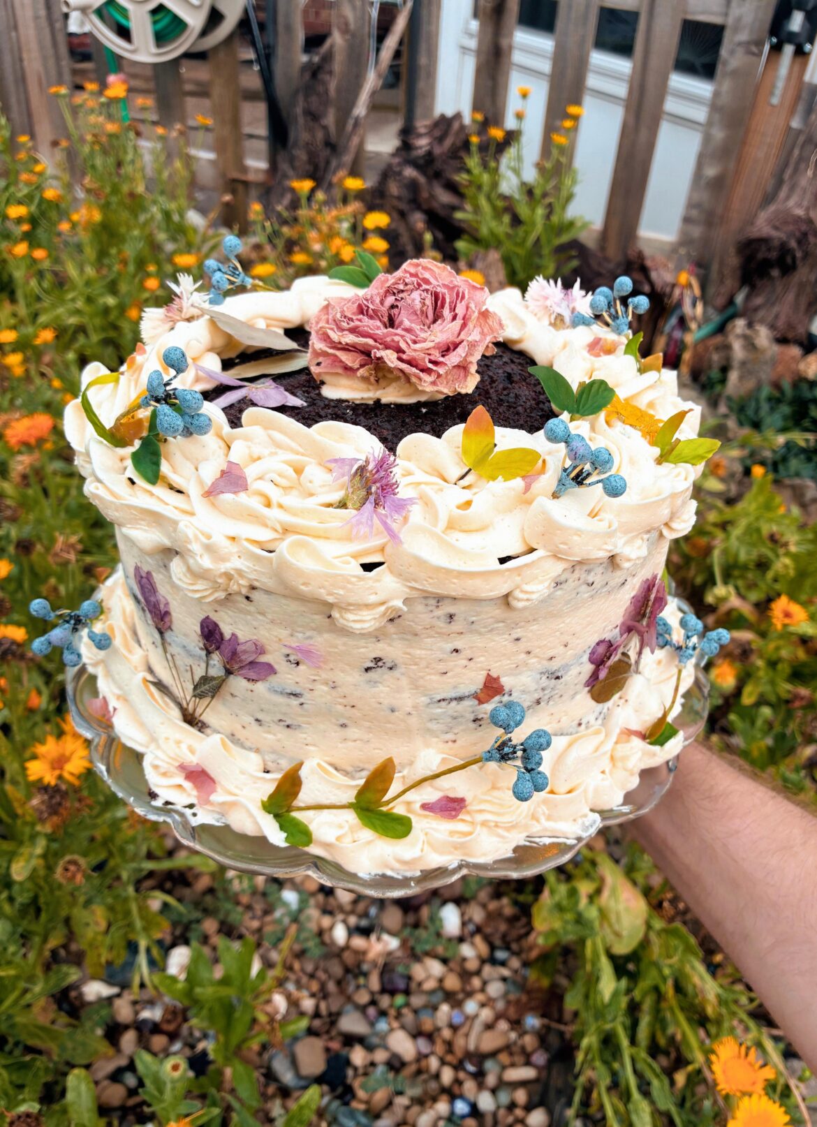 Chocolate cake for my stepmothers birthday!