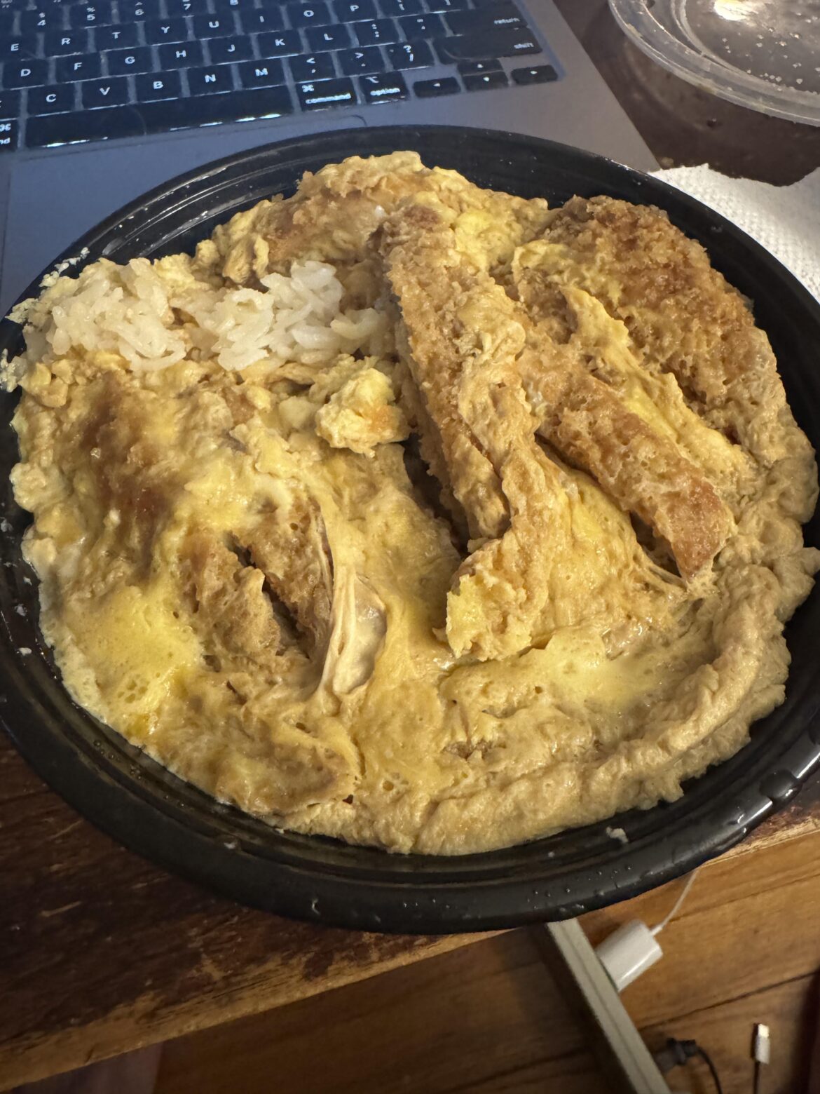 Is this normal? It’s supposed to be a pork katsu don. I have no idea what I’m looking at.