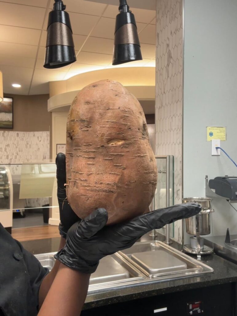 Been getting some insanely large sweet potatoes in lately...