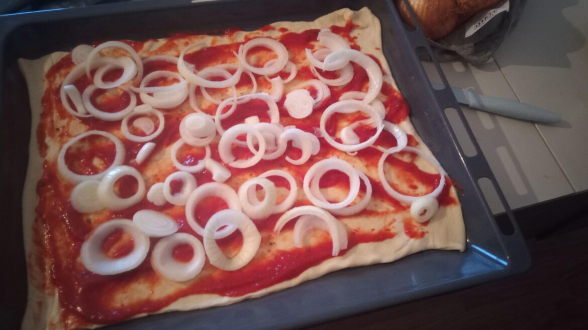 No cheese onion pizza. Hope the sauce is good