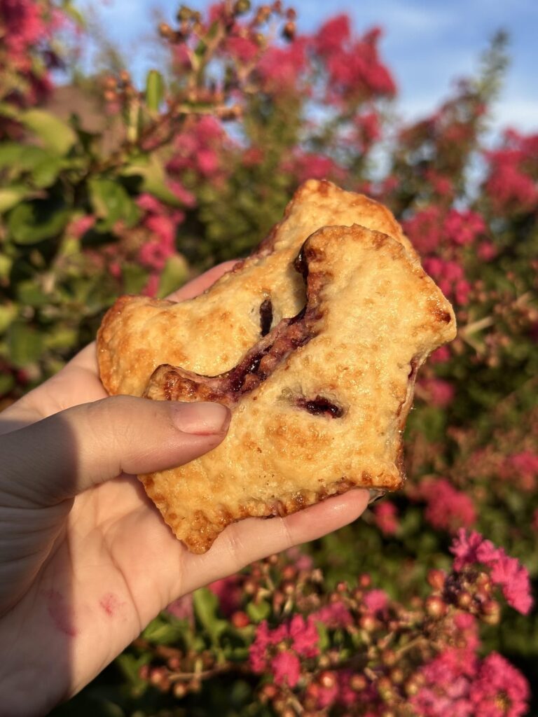I grieved Ozzy the only way I know how… by making headless bat-shaped pies. 🥺🦇