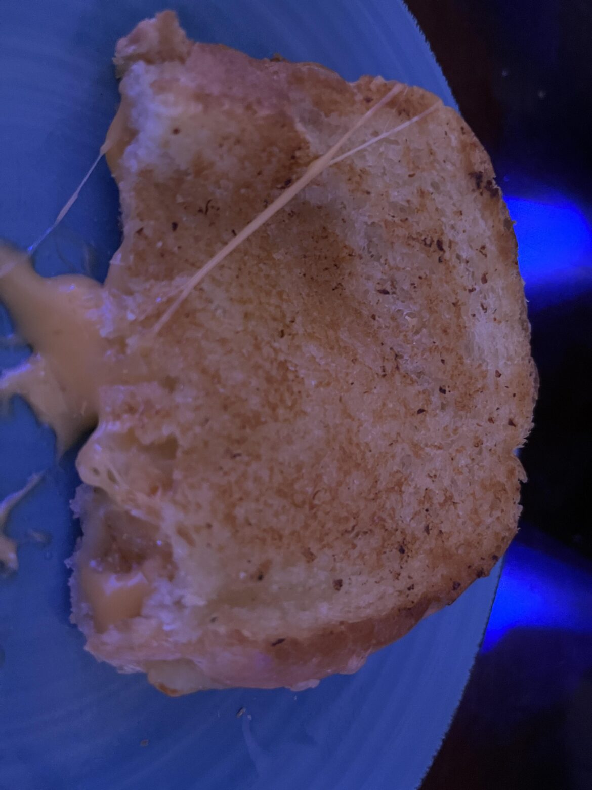 Grilled cheese with honey butter