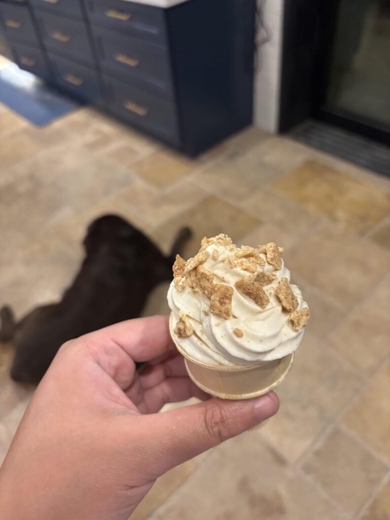 Loving the Ninja Creami! Anyone else like Cinnamon Toast Crunch?