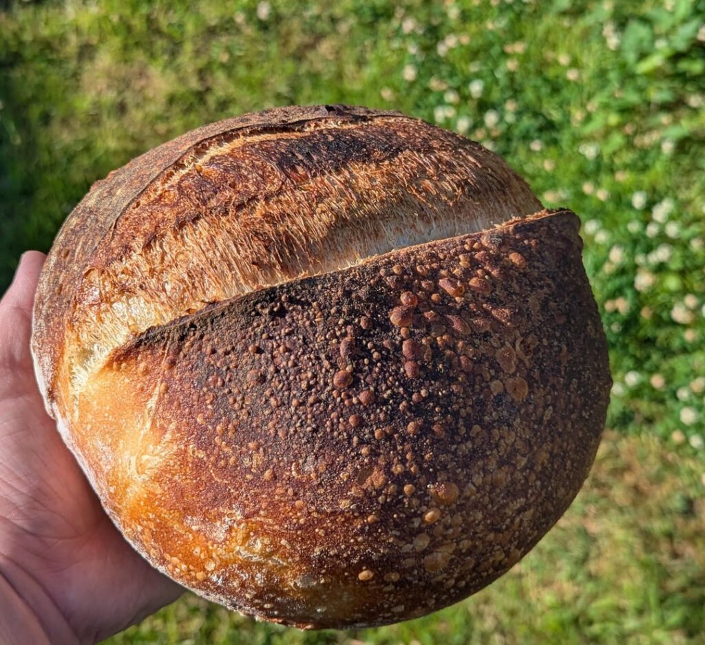 About 20 loaves in and seeing some progress :)