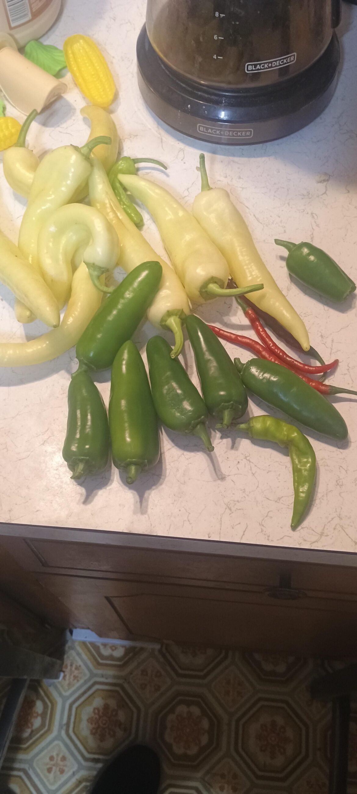 First decent harvest!