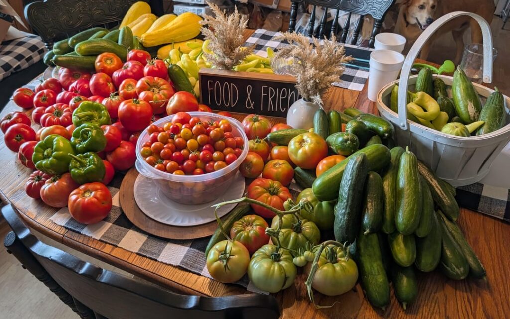 Harvests from 260 square feet of garden