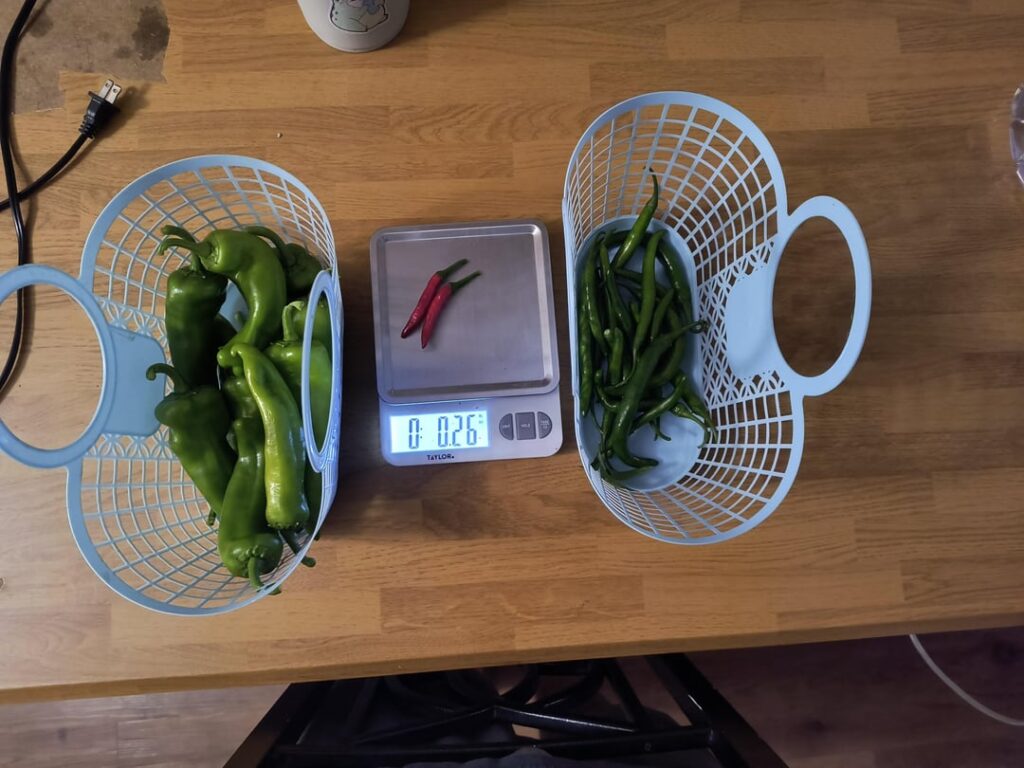 Tonight's harvest!