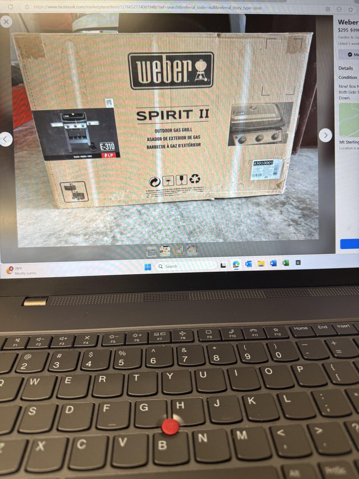 Weber E-310 Spirit II