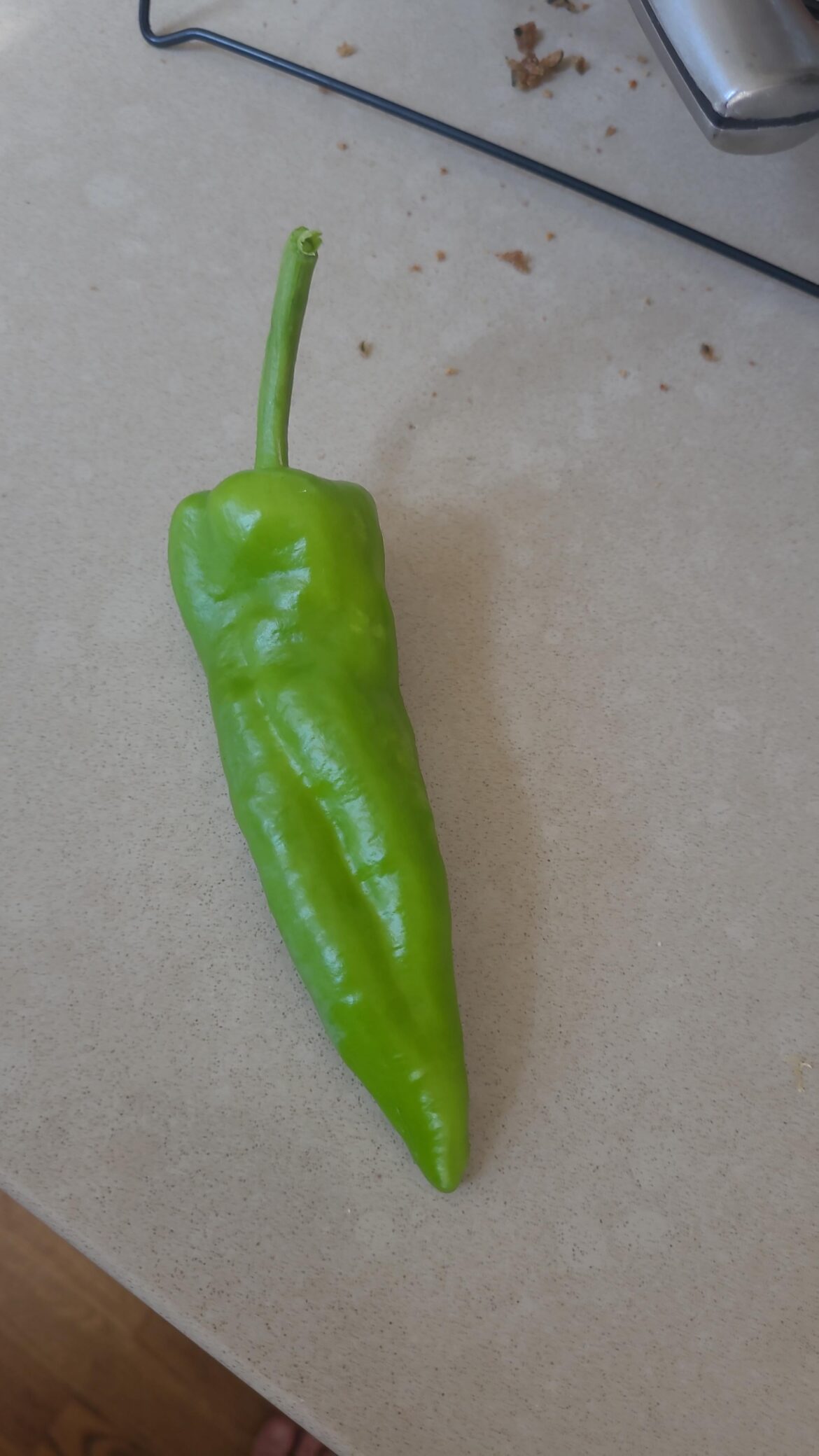 Identification Help!