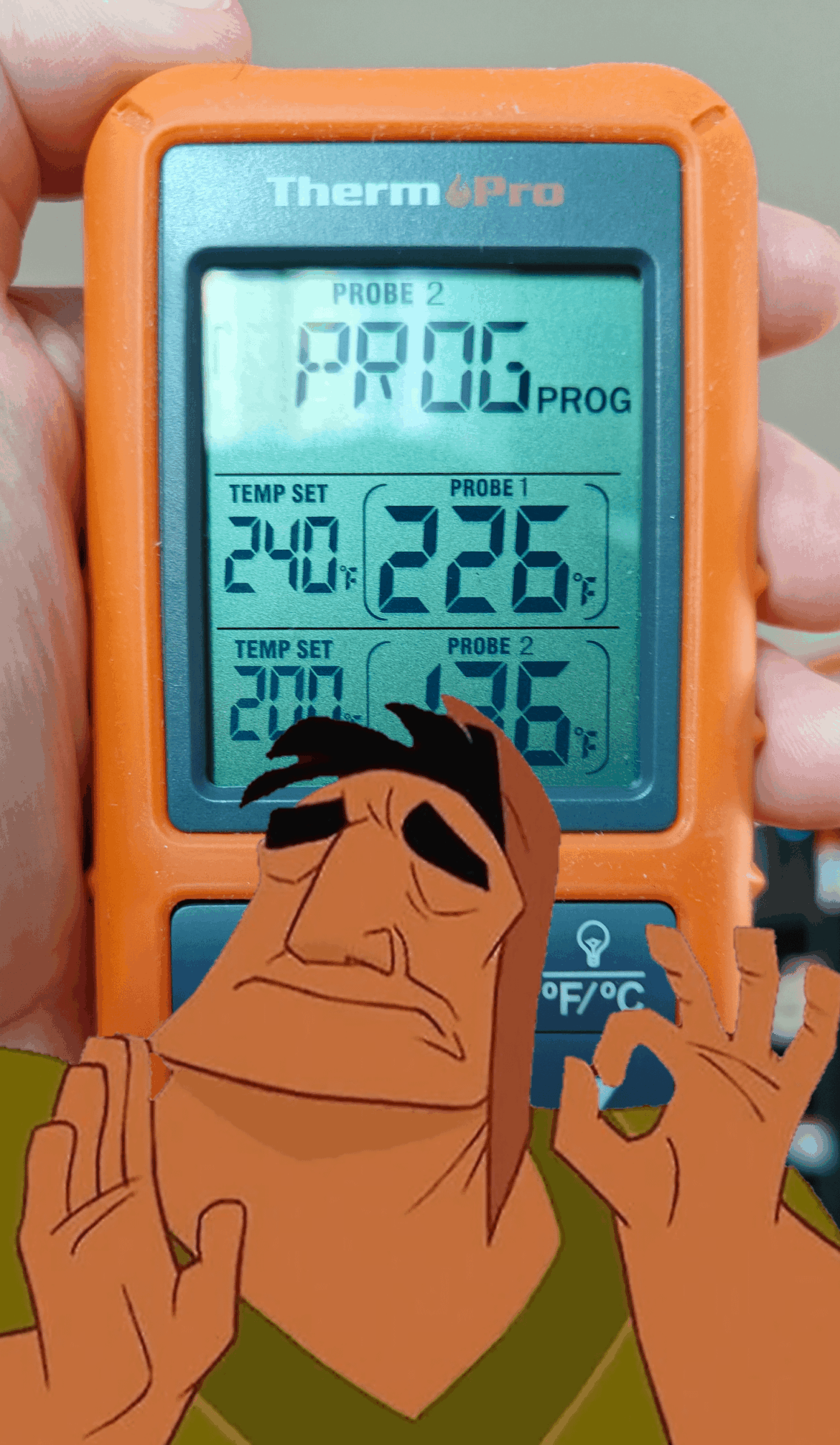 My first time smoking with a digital thermometer, this is so much fun!