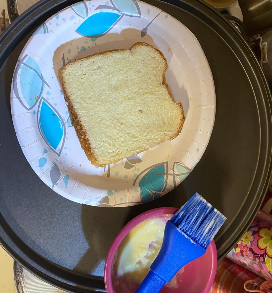 Grilled cheese and vegetable beef soup